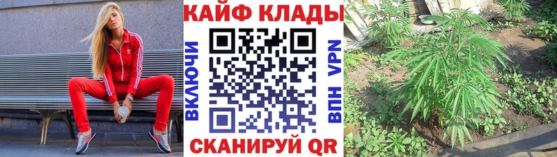 Купить наркотик Кириши ГАШ  Конопля  МЕФ 