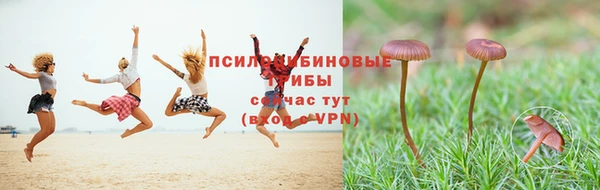 дурь Алексеевка