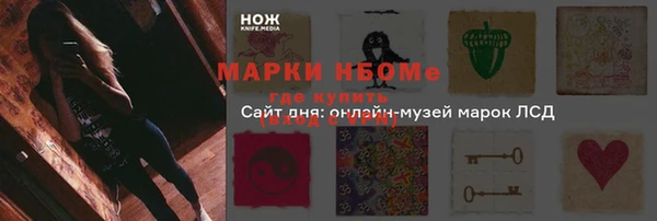 apvp Алексин