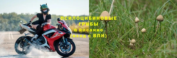 apvp Алексин
