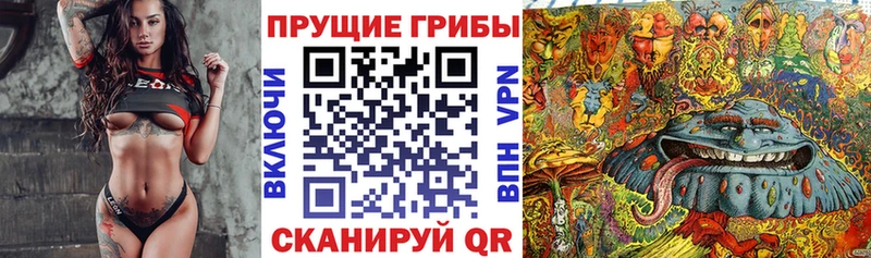 Псилоцибиновые грибы MAGIC MUSHROOMS  Кириши 